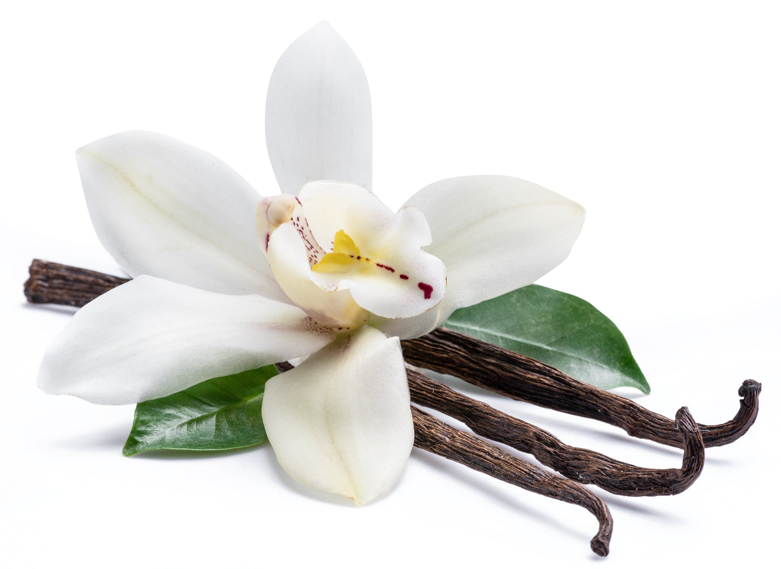 Vanilla beans, vanilla products